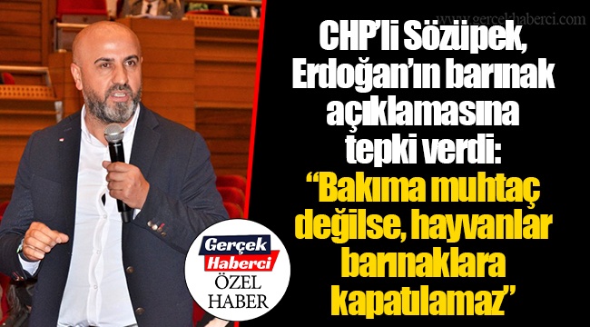 CHP’li Sözüpek, Erdoğan’ın barınak açıklamasına tepki verdi: “Bakıma muhtaç değilse, hayvanlar barınaklara kapatılamaz”