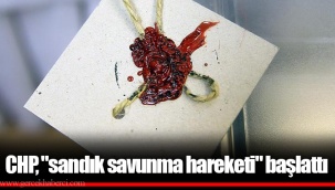 CHP,