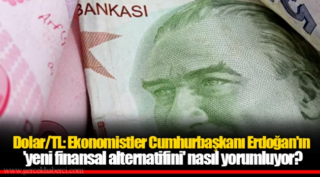 Dolar/TL: Ekonomistler Cumhurbaşkanı Erdoğan'ın 'yeni finansal alternatifini' nasıl yorumluyor?