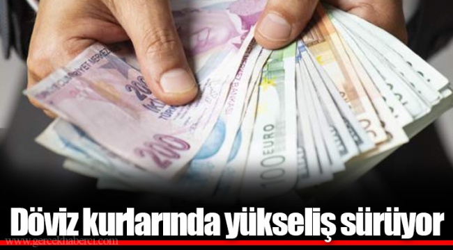 Döviz kurlarında yükseliş sürüyor