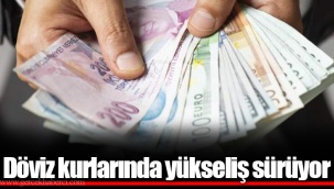 Döviz kurlarında yükseliş sürüyor