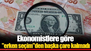 Ekonomistlere göre