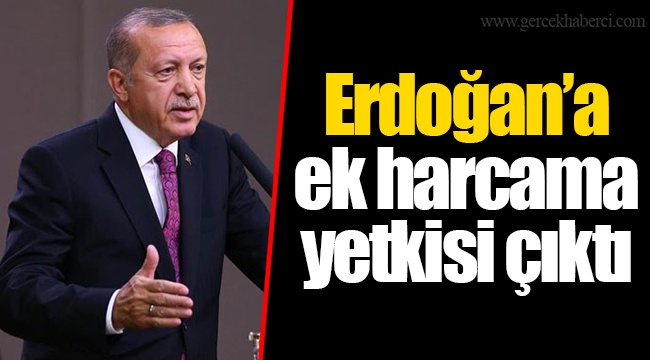 Erdoğan’a ek harcama yetkisi çıktı