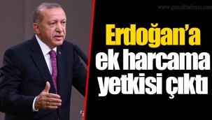 Erdoğan’a ek harcama yetkisi çıktı