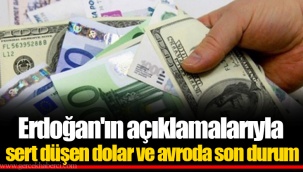 Erdoğan'ın açıklamalarıyla sert düşen dolar ve avroda son durum