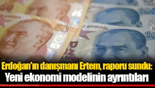 Erdoğan'ın danışmanı Ertem, raporu sundu: Yeni ekonomi modelinin ayrıntıları