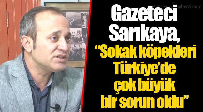 Gazeteci Sarıkaya, "Sokak köpekleri Türkiye'de çok büyük bir sorun oldu"