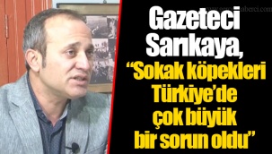 Gazeteci Sarıkaya,