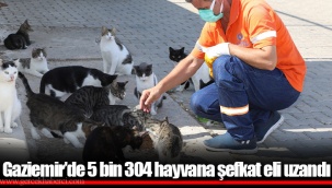 Gaziemir’de 5 bin 304 hayvana şefkat eli uzandı