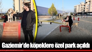 Gaziemir’de köpeklere özel park açıldı