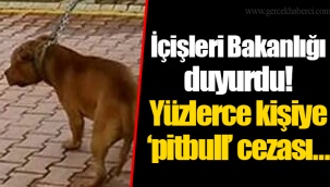 İçişleri Bakanlığı duyurdu! Yüzlerce kişiye ‘pitbull’ cezası…