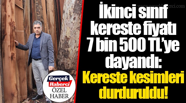 İkinci sınıf kereste fiyatı 7 bin 500 TL'ye dayandı: Kereste kesimleri durduruldu!