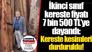 İkinci sınıf kereste fiyatı 7 bin 500 TL'ye dayandı: Kereste kesimleri durduruldu!