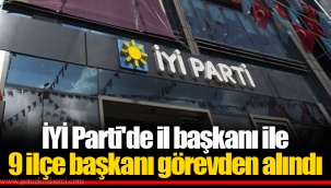 İYİ Parti'de il başkanı ile 9 ilçe başkanı görevden alındı