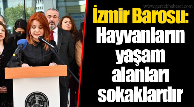 İzmir Barosu: Hayvanların yaşam alanları sokaklardır
