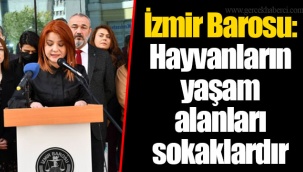 İzmir Barosu: Hayvanların yaşam alanları sokaklardır