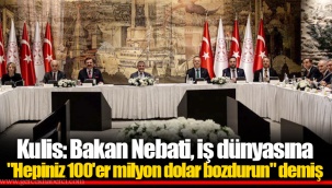 Kulis: Bakan Nebati, iş dünyasına