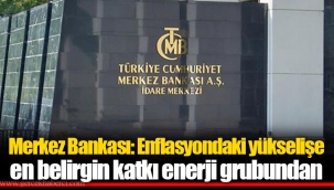 Merkez Bankası: Enflasyondaki yükselişe en belirgin katkı enerji grubundan