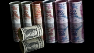 Merkez Bankası'nın döviz satışı için yeterli rezervi var mı?