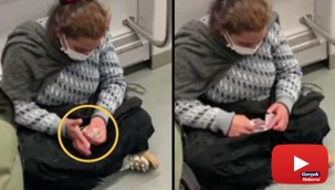 Metroda dilenci şaşkınlığı: Herkesin içinde paraları saydı