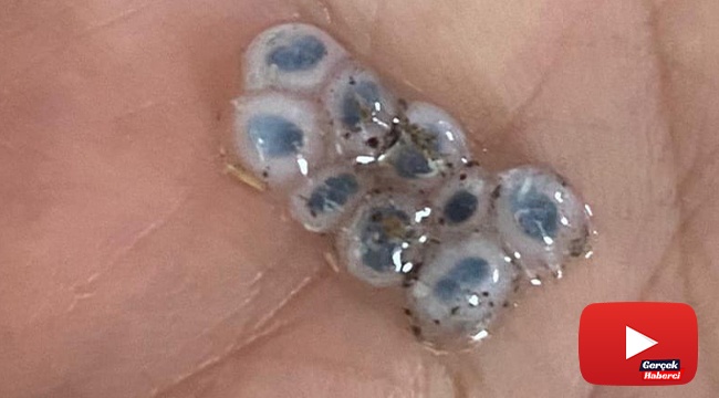 Nazar boncuğu şeklinde dolu yağdı, görenler şaşırıp kaldı