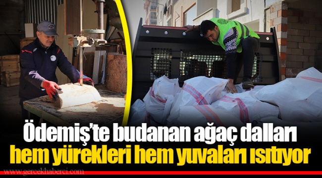 Ödemiş’te budanan ağaç dalları hem yürekleri hem yuvaları ısıtıyor 