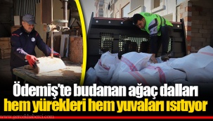 Ödemiş’te budanan ağaç dalları hem yürekleri hem yuvaları ısıtıyor