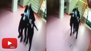 Okul müdürünün öğrencilere şiddet uyguladığı anlar kamerada