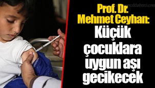 Prof. Dr. Mehmet Ceyhan: Küçük çocuklara uygun aşı gecikecek