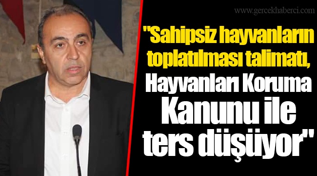 "Sahipsiz hayvanların toplatılması talimatı, Hayvanları Koruma Kanunu ile ters düşüyor"