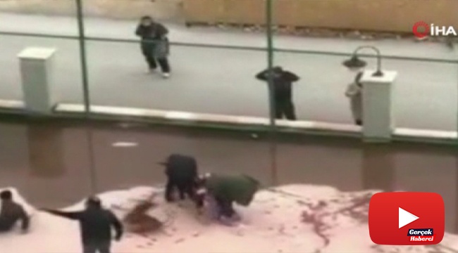 Site bahçesinde pitbull dehşeti