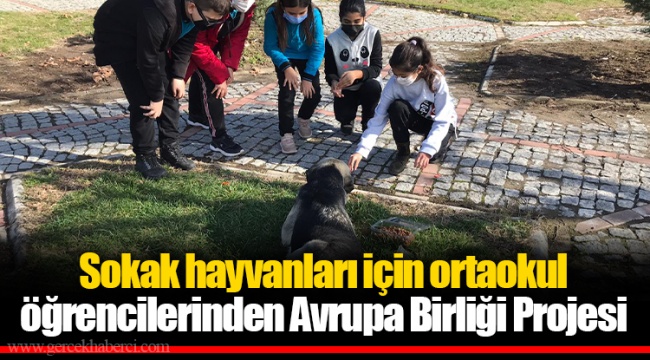 Sokak hayvanları için ortaokul öğrencilerinden Avrupa Birliği Projesi