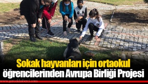 Sokak hayvanları için ortaokul öğrencilerinden Avrupa Birliği Projesi