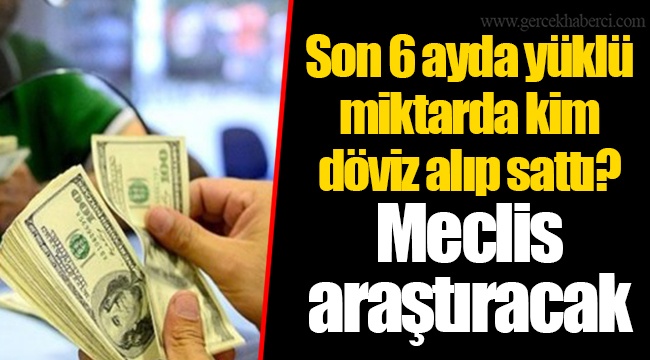 Son 6 ayda yüklü miktarda kim döviz alıp sattı? Meclis araştıracak