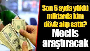 Son 6 ayda yüklü miktarda kim döviz alıp sattı? Meclis araştıracak