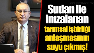 Sudan ile imzalanan tarımsal işbirliği anlaşmasının suyu çıkmış!