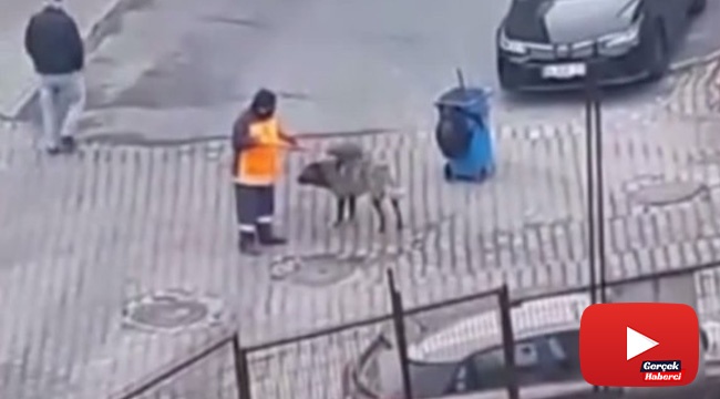 Temizlik işçisi ile köpeğin dostluğu yürek ısıttı