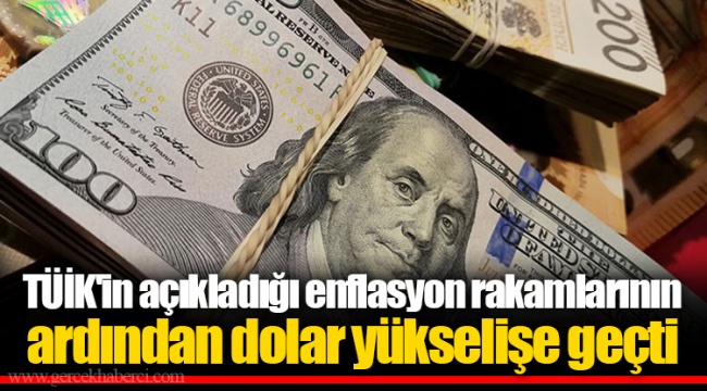 TÜİK'in açıkladığı enflasyon rakamlarının ardından dolar yükselişe geçti