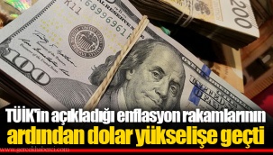 TÜİK'in açıkladığı enflasyon rakamlarının ardından dolar yükselişe geçti