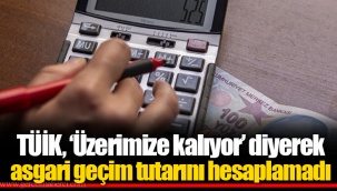 TÜİK, ‘Üzerimize kalıyor’ diyerek asgari geçim tutarını hesaplamadı