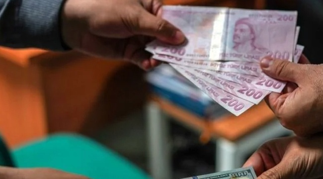 Vatandaş yeni mevduatı duyunca dövizini sattı mı?
