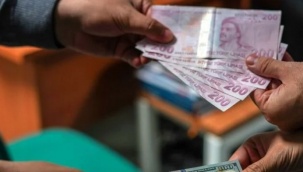 Vatandaş yeni mevduatı duyunca dövizini sattı mı?