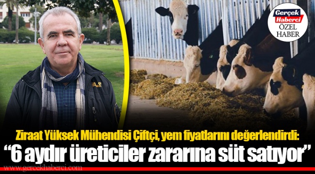 Ziraat Yüksek Mühendisi Çiftçi, yem fiyatlarını değerlendirdi: "6 aydır üreticiler zararına süt satıyor"
