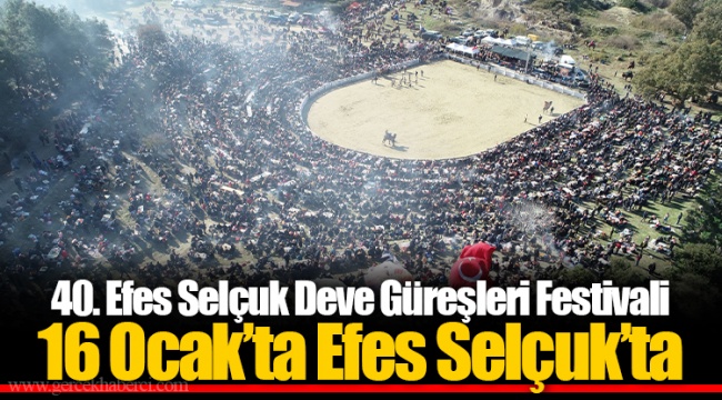 40. Efes Selçuk Deve Güreşleri Festivali 16 Ocak’ta Efes Selçuk’ta