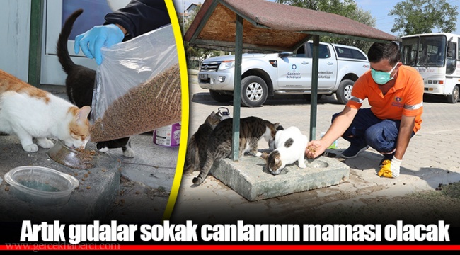 Artık gıdalar sokak canlarının maması olacak