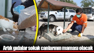 Artık gıdalar sokak canlarının maması olacak