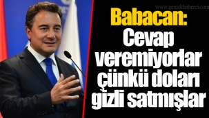 Babacan: Cevap veremiyorlar çünkü doları gizli satmışlar