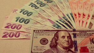 Bakanlık Açıkladı: İşte TL'de Koruma İçin En Çok Sorulan 10 Sorunun Cevabı!