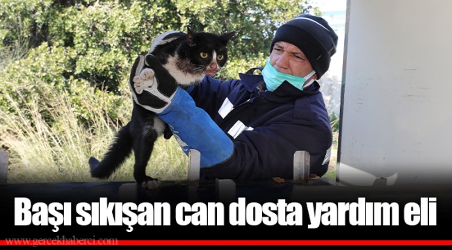 Başı sıkışan can dosta yardım eli