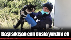 Başı sıkışan can dosta yardım eli